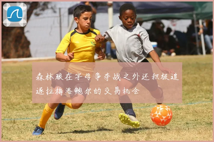 森林狼在字母争夺战之外还积极追逐拉梅洛鲍尔的交易机会